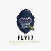 Fly17.com