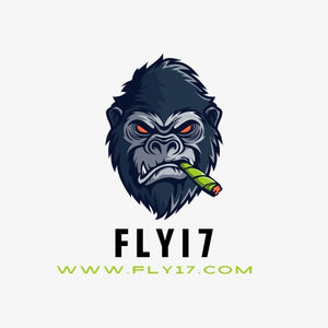 Fly17.com - Fly17.com OTCdomain