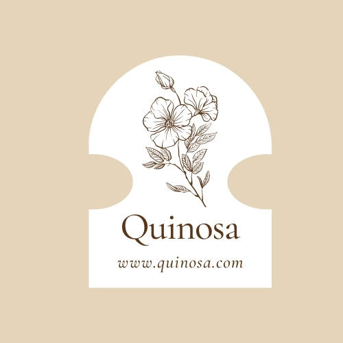 Domain www. quinosa .com by OTCdomain.com