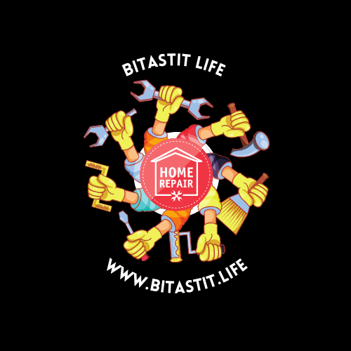 bitastit.life by OTCdomain.com