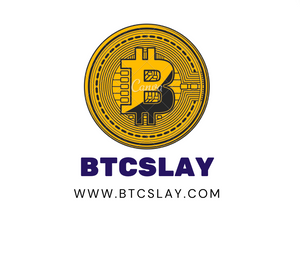 BTCslay.com - btcslay.com by OTCdomain.com