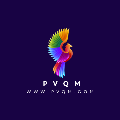 pvqm.com by OTCdomain.com